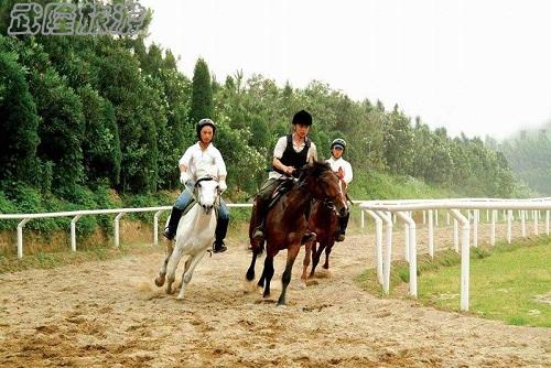 仙女山跑馬