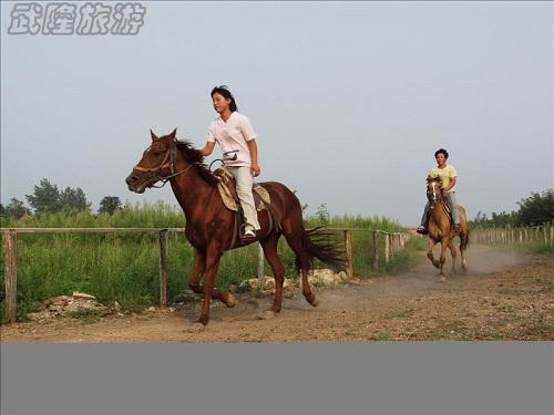 仙女山跑馬