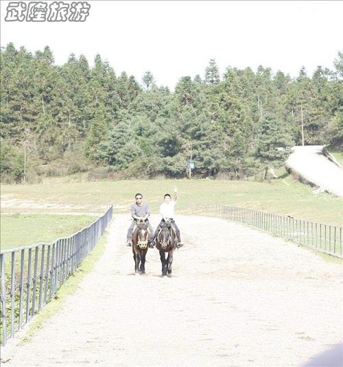 仙女山跑馬