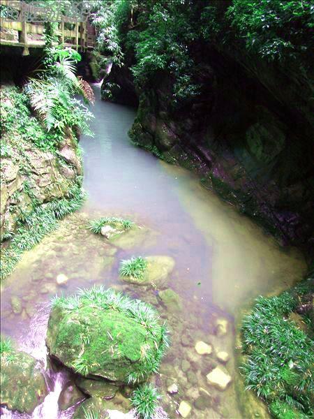 鯉魚(yú)池