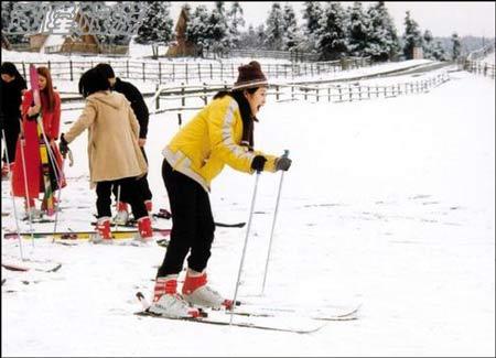 仙女山雪上運動項目