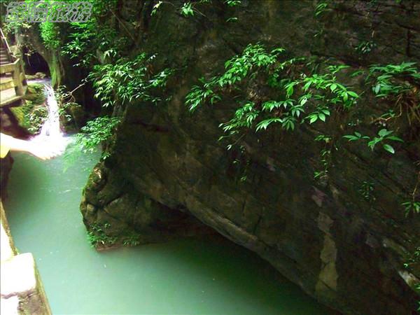 龍水峽地縫景點(diǎn)之“玉龜出山”