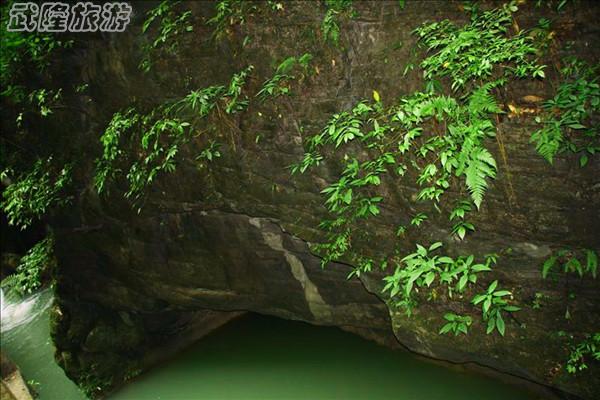 龍水峽地縫景點(diǎn)之“玉龜出山”