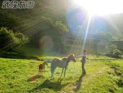 武隆徒步游線路大錦集