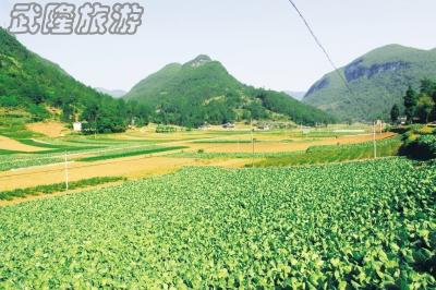 木根村負氧離子生態(tài)旅游自駕線路攻略