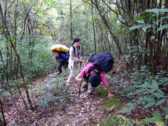 仙女山夢幻谷徒步指南