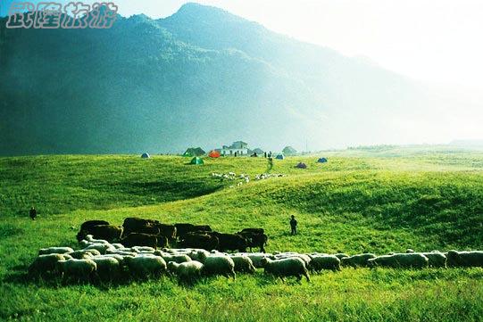 重慶武隆仙女山旅游攻略