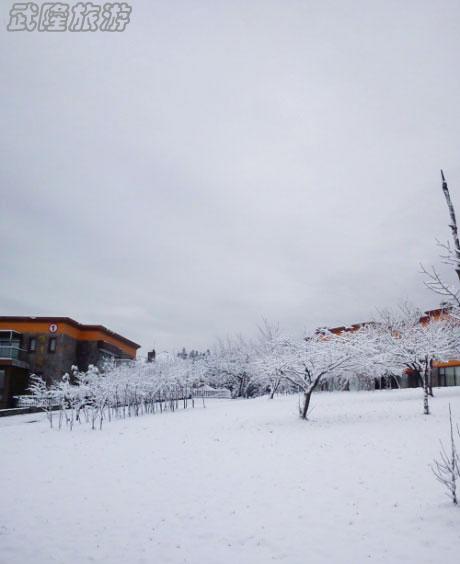 仙女山三月再降春雪 為數(shù)千游客春游獻(xiàn)好禮