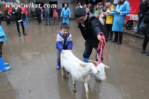 馭馬伙伴行 與愛(ài)同行 重走“爸爸路”武隆溫馨親子之旅獻(xiàn)映