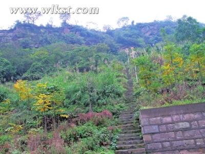 心靈的那方凈土 游鴨江鯉魚石森林公園小記