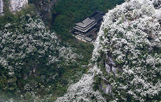 天生三橋唯美冬日雪景賞