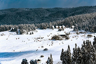 仙女山雪后初霽