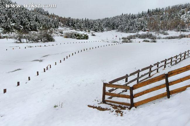 武隆仙女山再降大雪 積雪期即將到來