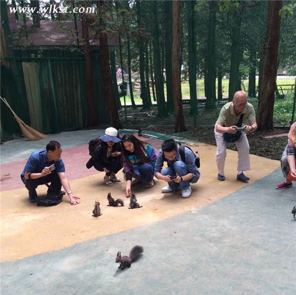 　亞州首家奇幻松鼠樂園 本周六在武隆仙女山開園