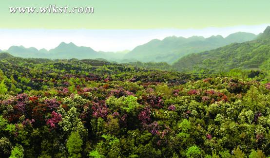 愛情勝地白馬山