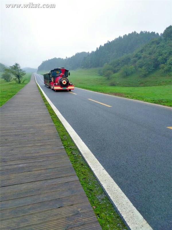 小火車行使在仙女山最美公路上(李瓊/供圖)