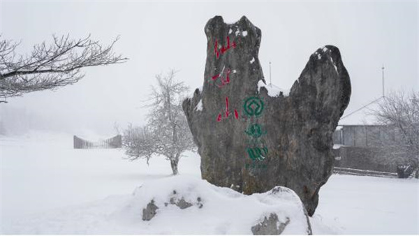 （仙女山大草原實(shí)景圖）