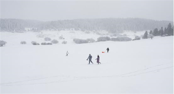 蒼茫白雪