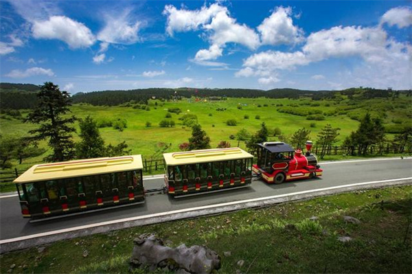 仙女山小火車