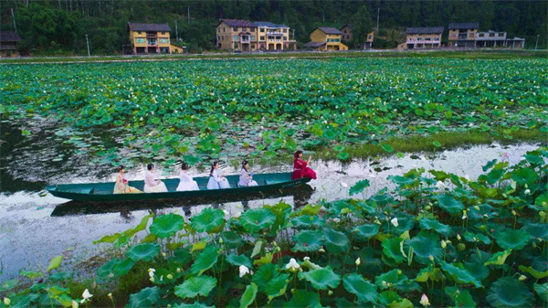 大田濕地人家荷花池