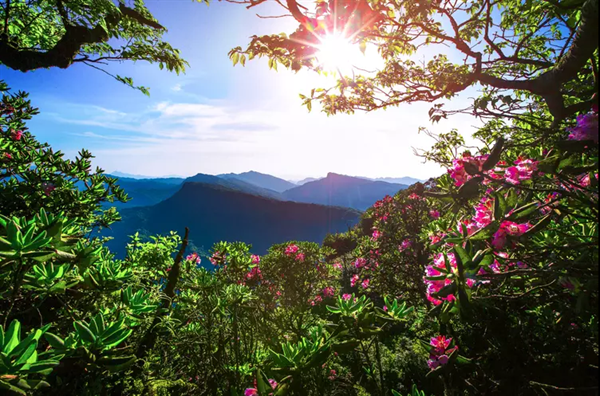 白馬山美景