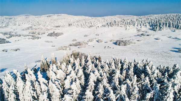 仙女山雪景