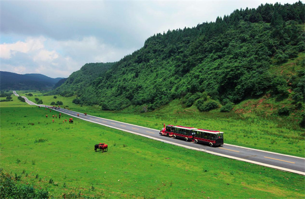 仙女山小火車