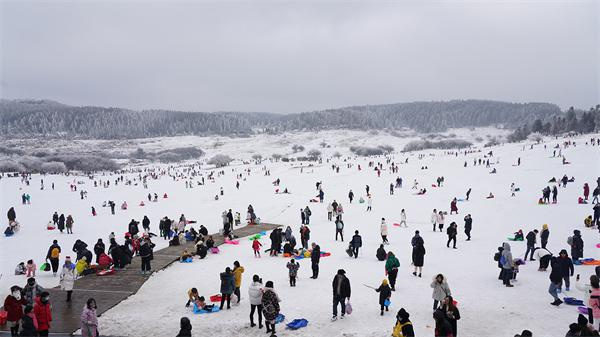 眾多游客在仙女山大草原玩雪