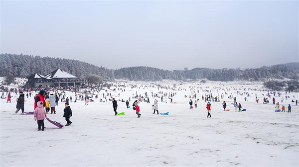 眾多游客在仙女山大草原玩雪