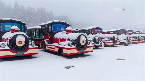 仙女山冰雪童話世界中的小火車