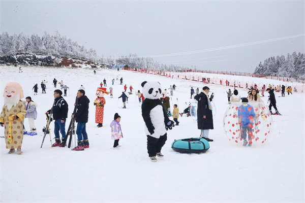 雪上活動