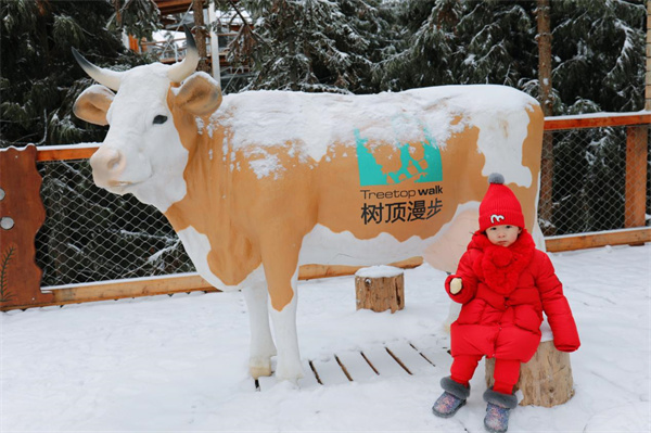 樹頂漫步