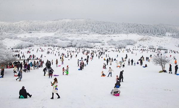 眾多游客在仙女山大草原玩雪