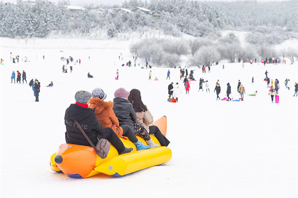 雪地毛毛蟲