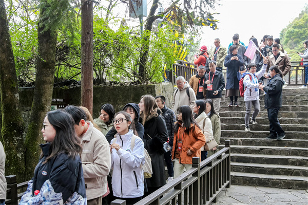 旅行商代表有序進(jìn)入天生三橋景區(qū)參觀